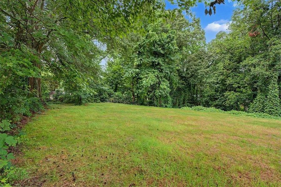 Natural landscape and outdoor views near in Forest Park (Image 35). Natural landscape and outdoor views near in Forest Park (Image 35).
