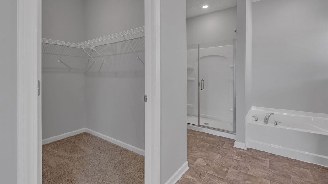 Spacious, unfurnished interior of a new home in Hedge Rose, Somerville (Image 28).