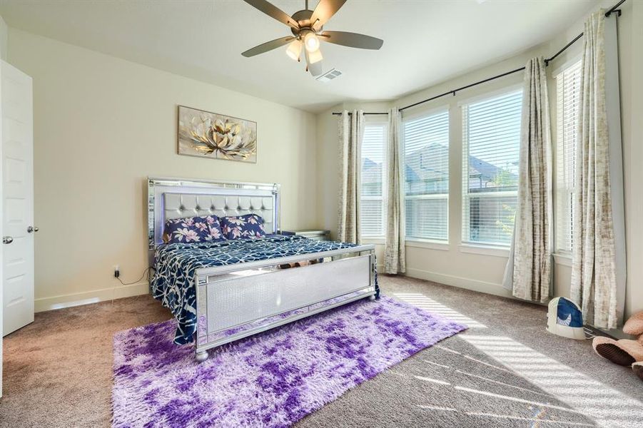 Carpeted bedroom featuring multiple windows and ceiling fan