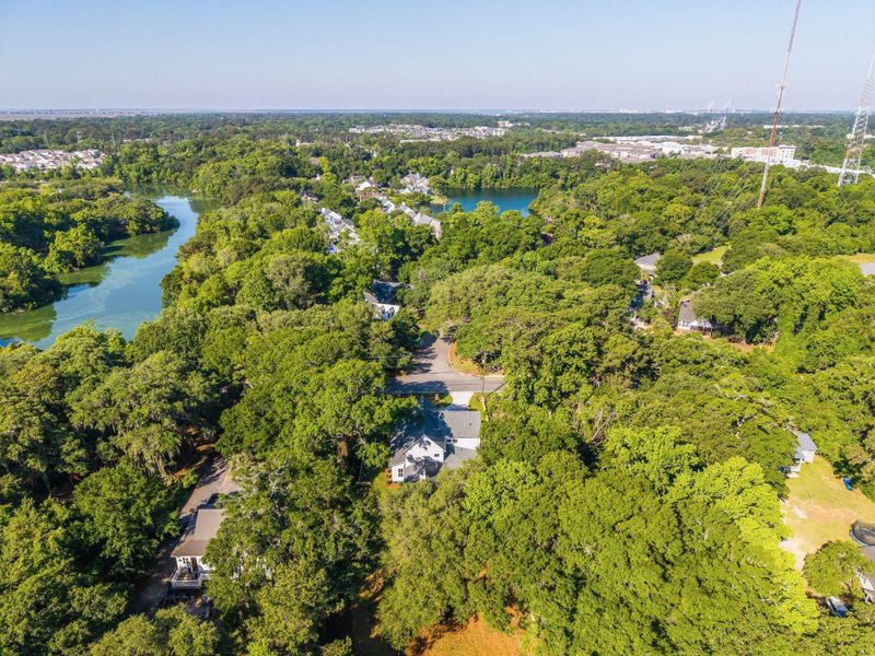 Natural landscape and outdoor views near  in Mount Pleasant (Image 65).