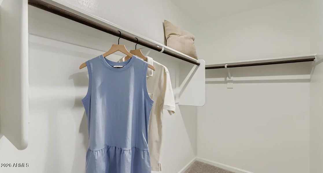 Owners Walk in Closet