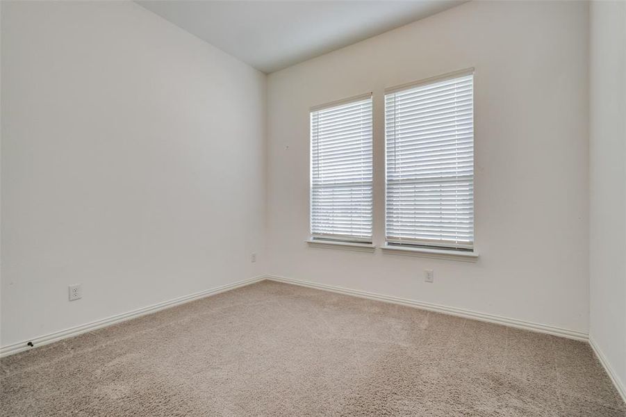 Carpeted spare room featuring a wealth of natural light