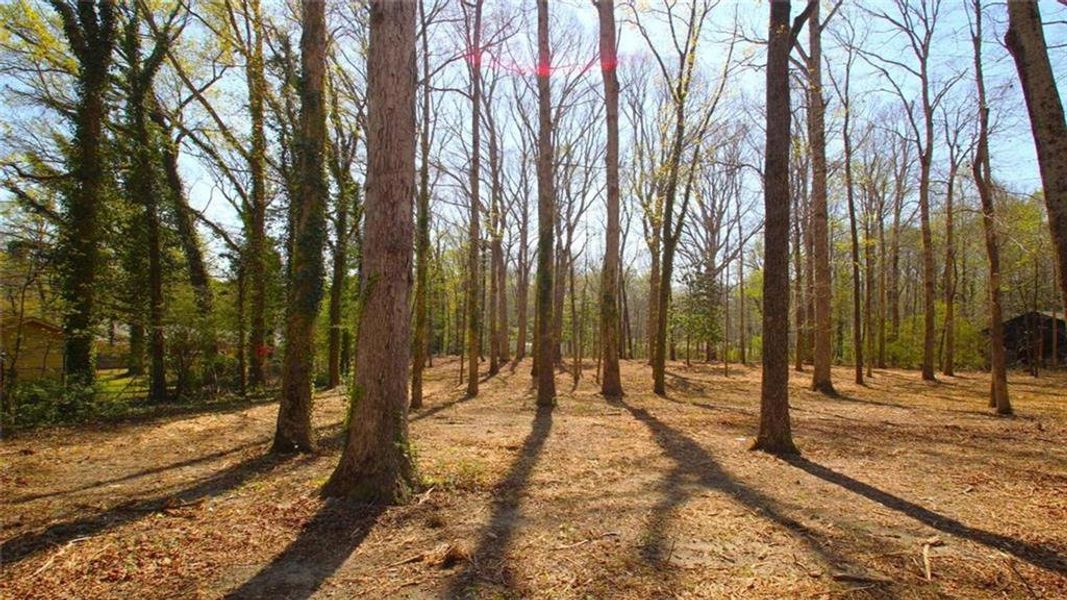Natural landscape and outdoor views near  in Stone Mountain (Image 52).