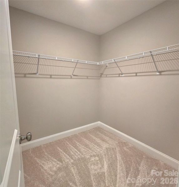 Spacious, unfurnished interior of a new home in , Salisbury (Image 15).