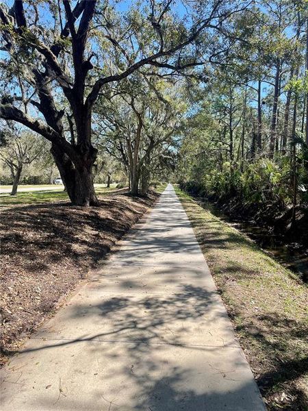 Natural landscape and outdoor views near in New Smyrna Beach (Image 67). Natural landscape and outdoor views near in New Smyrna Beach (Image 67).