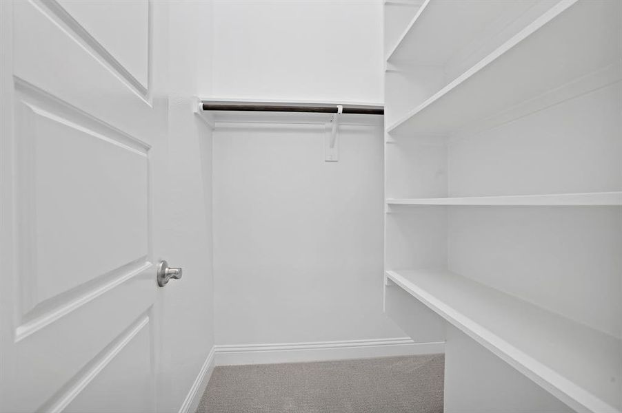 Walk in closet featuring carpet floors