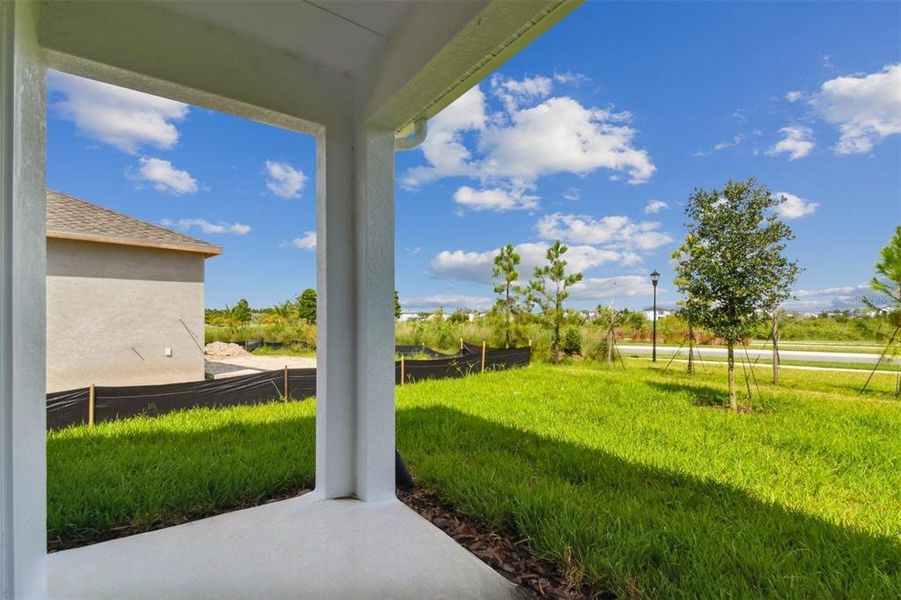 Exterior details and patio area of a home in Chapel Crossings - Garden Series, Wesley Chapel (Image 16).