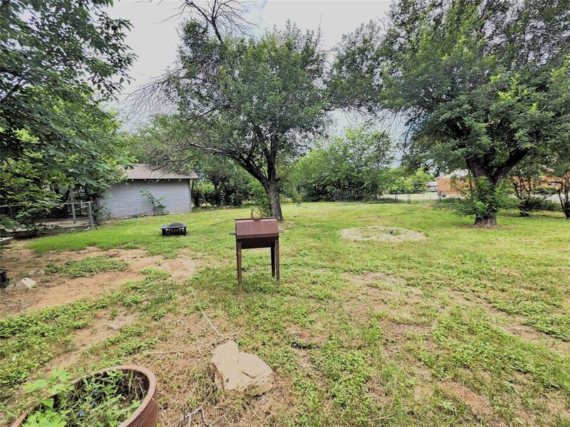Natural landscape and outdoor views near  in Brownwood (Image 17).