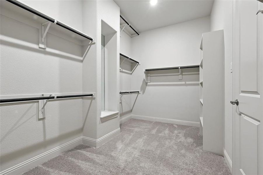 Spacious closet featuring light carpet