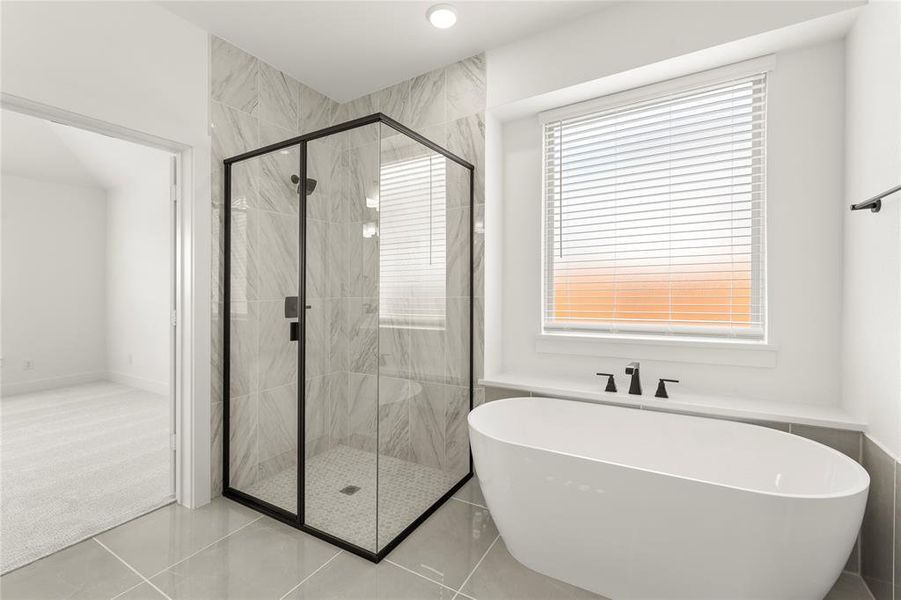 425 Curtiss - Bath (2) 425 Curtiss - Bath (2)