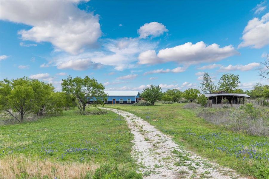 Beautiful drive up to the home.