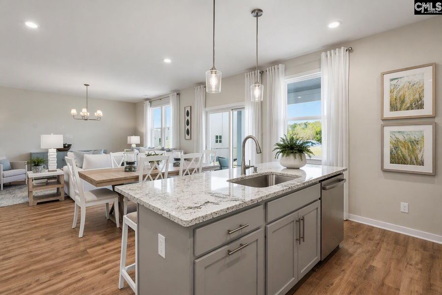 Furnished interior view inside a new home in Boykin Hills, Chapin (Image 10).
