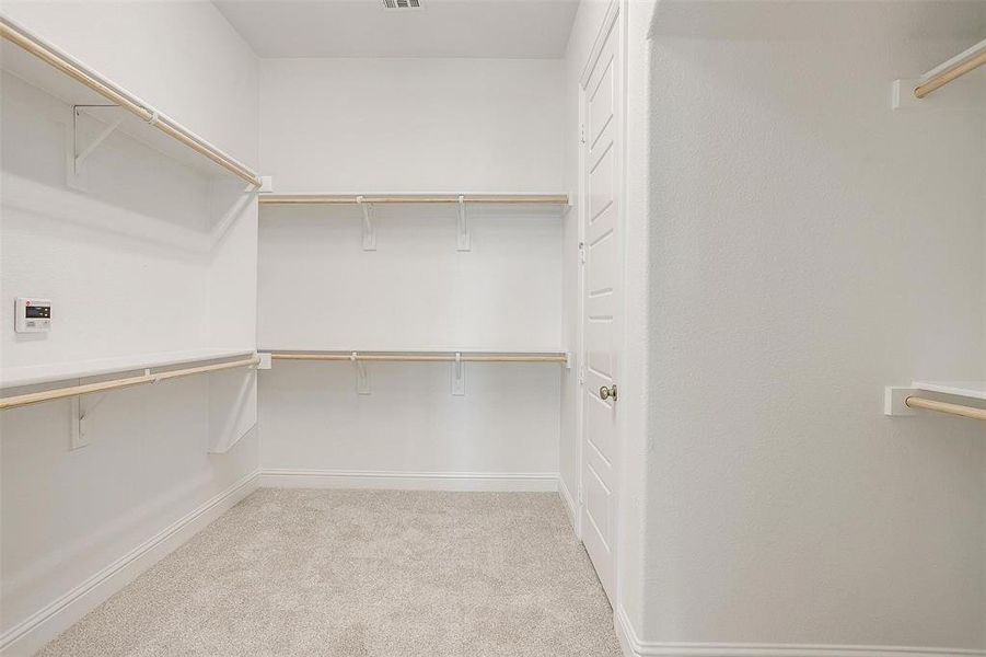 Spacious closet featuring light colored carpet