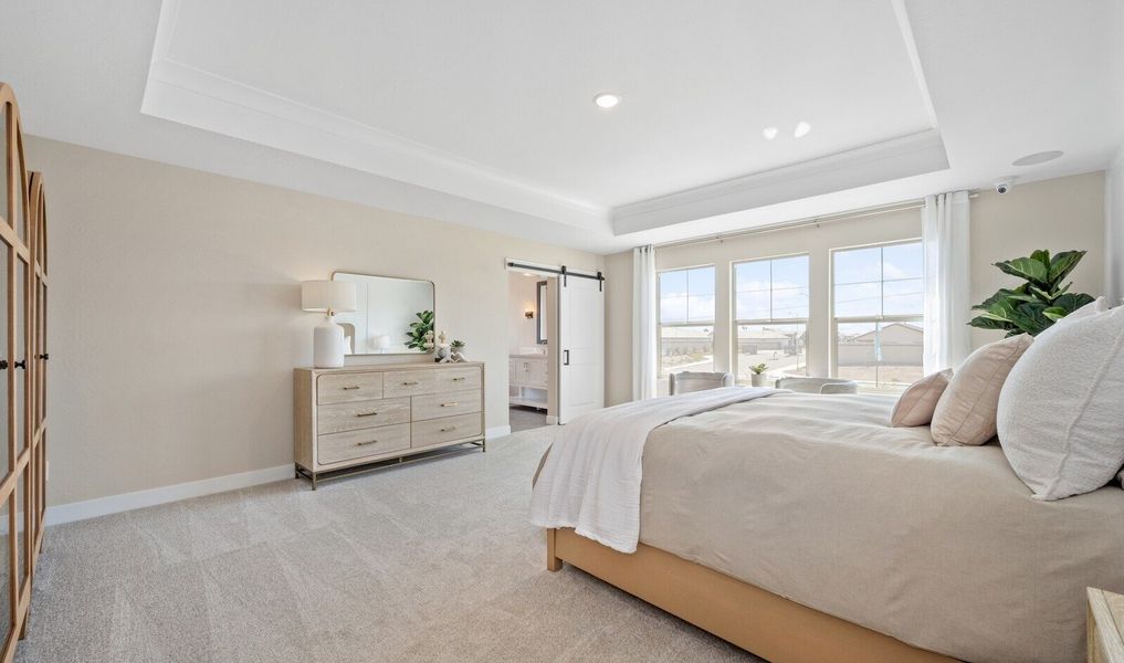 Primary suite with tray ceiling and crown moulding