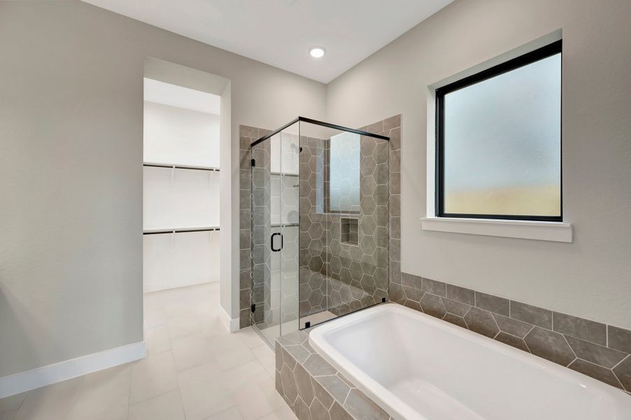 Owner's Bath