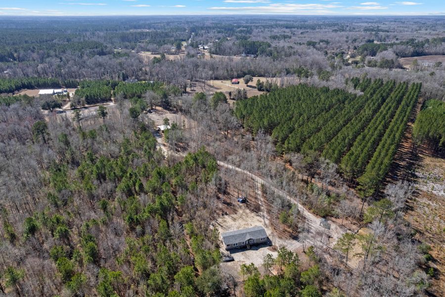 Natural landscape and outdoor views near  in Cottageville (Image 50).