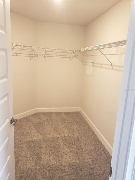 Spacious, unfurnished interior of a new home in Pine Bluff, Spring Hill (Image 10).