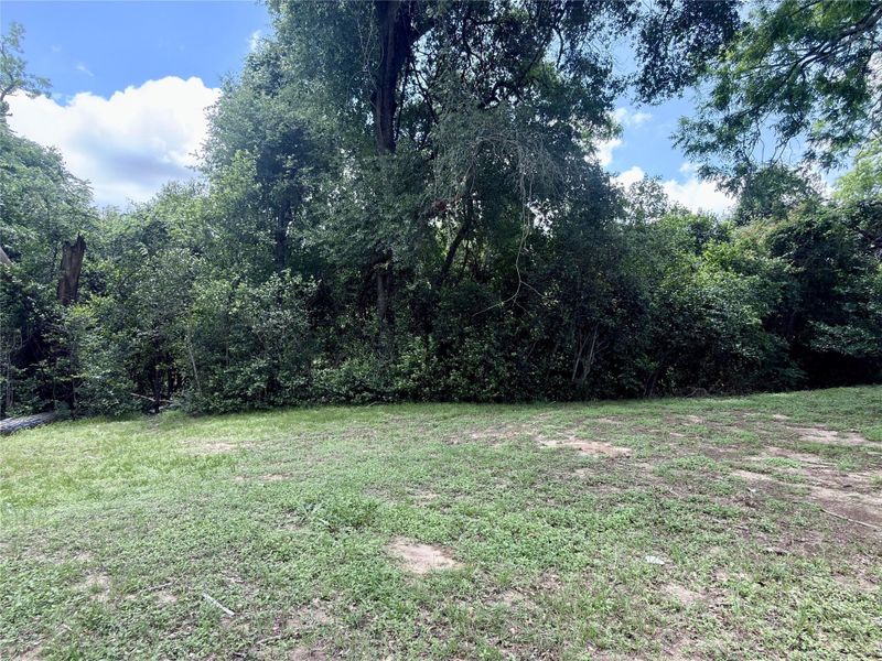 Natural landscape and outdoor views near  in Brenham (Image 16).