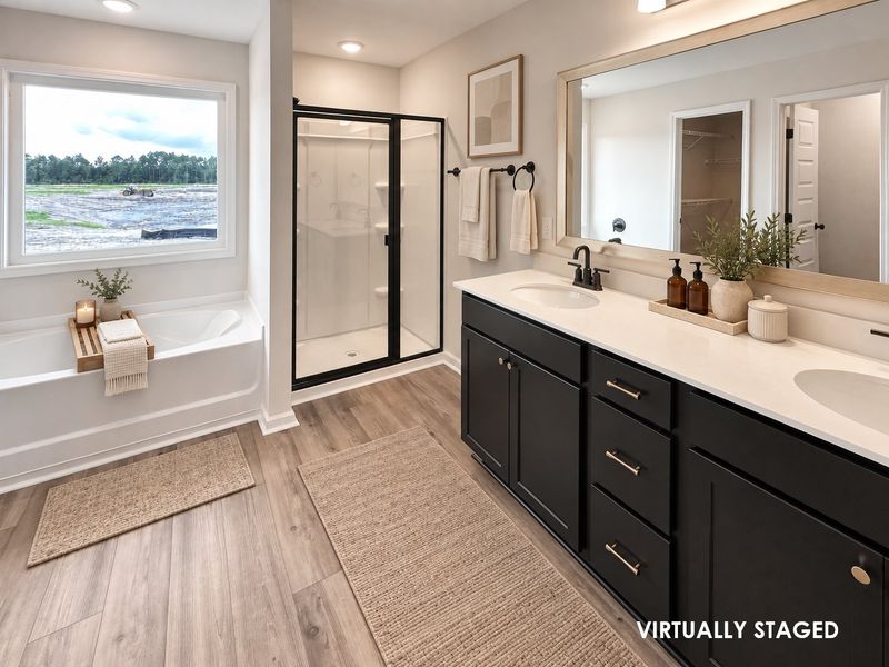 Furnished interior view inside a new home in Doctor's Creek, Ludowici (Image 14).