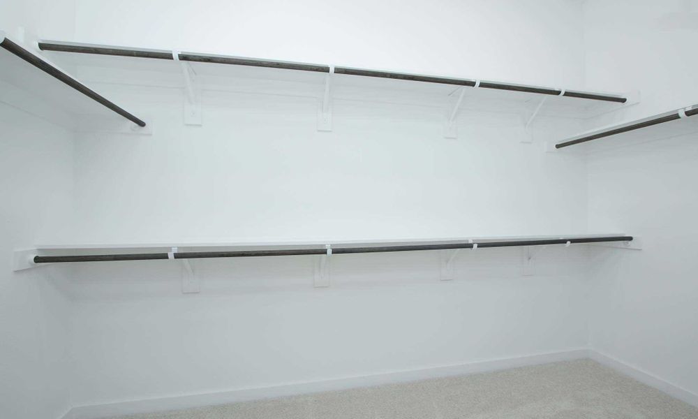 Representative Primary Closet - some options shown Representative Primary Closet - some options shown