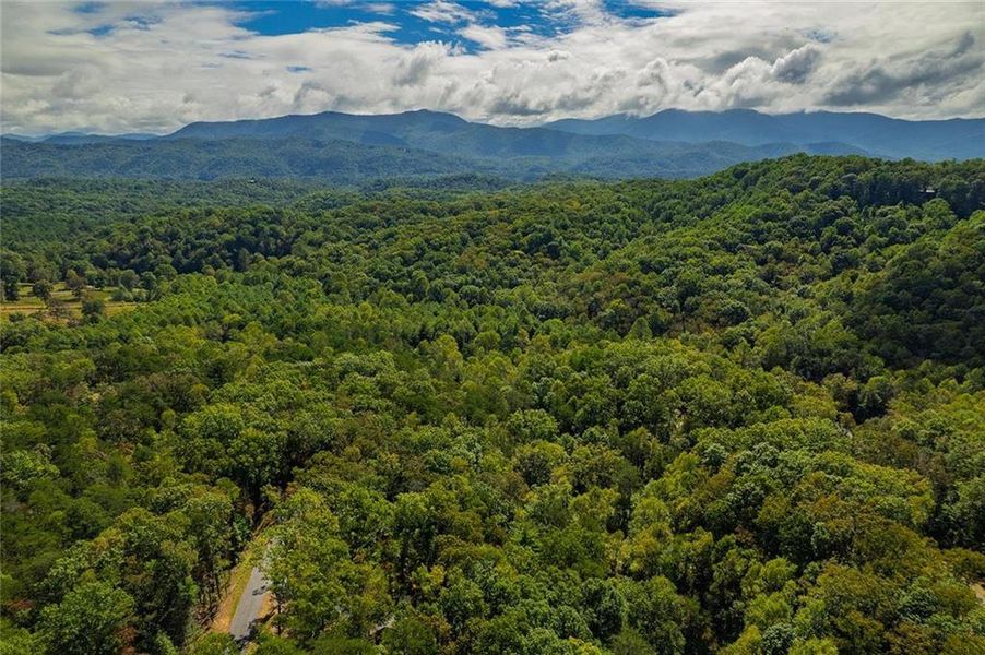 Natural landscape and outdoor views near  in Cherry Log (Image 25).