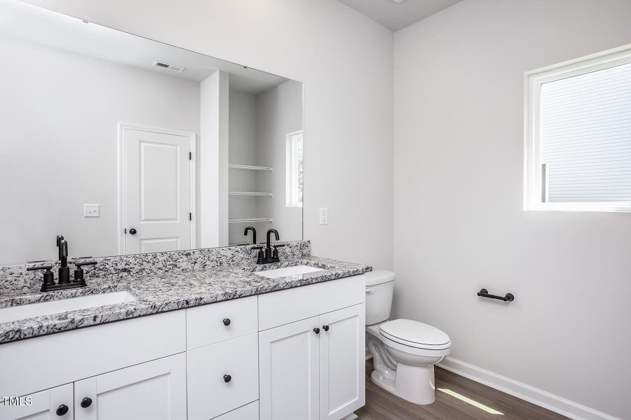 Southeast_Birch_L_017