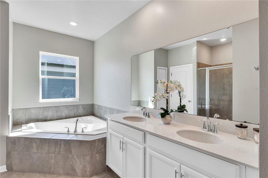 Furnished interior view inside a new home in , Clermont (Image 10).