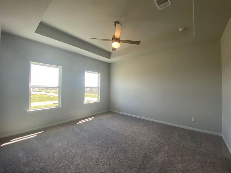 Master bedroom with tray ceiling