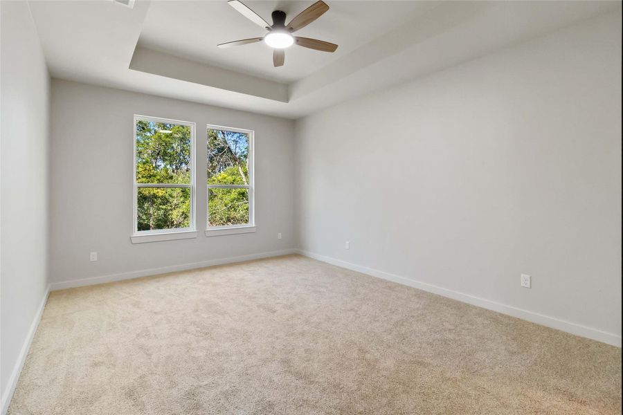 Carpeted spare room with a raised ceiling and a ceiling fan