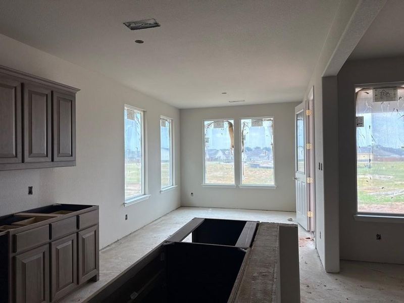 In-progress construction of a new home in Covenant Park, Springtown, TX (Image 4).