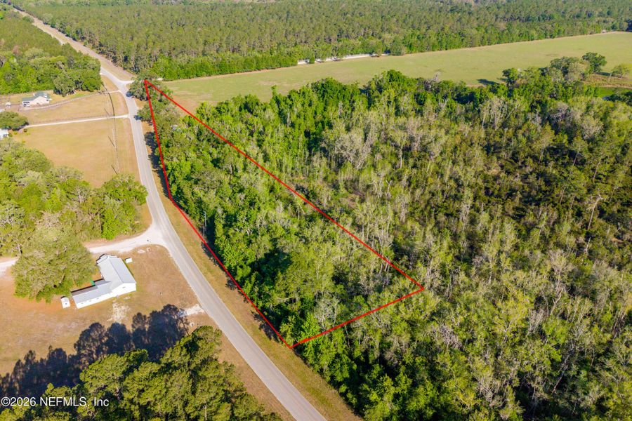 Natural landscape and outdoor views near  in Gainesville (Image 21).