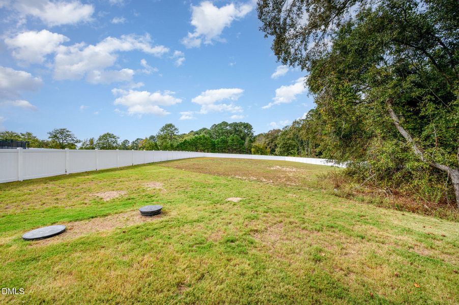 036_dsc_3805-edit_945