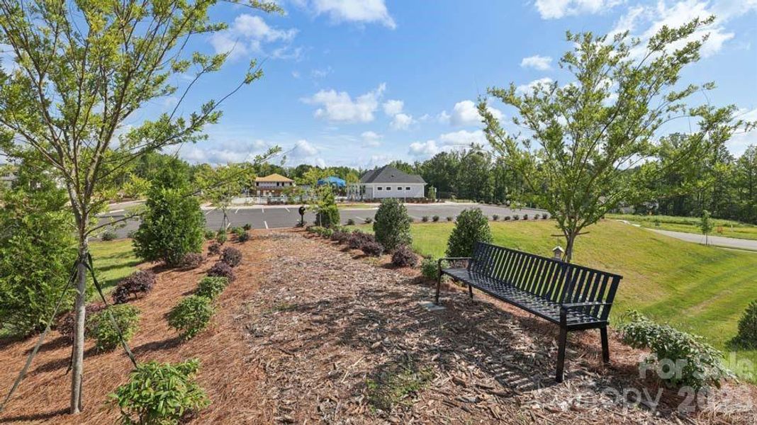 Natural landscape and outdoor views near Sylvan Creek in Denver (Image 29). Natural landscape and outdoor views near Sylvan Creek in Denver (Image 29).