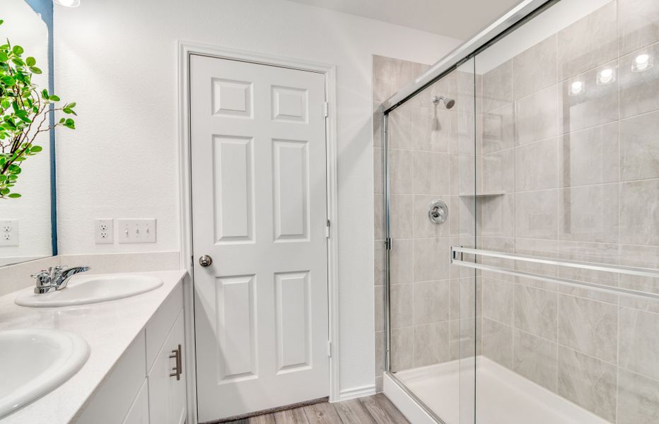 Large shower in owner's bath