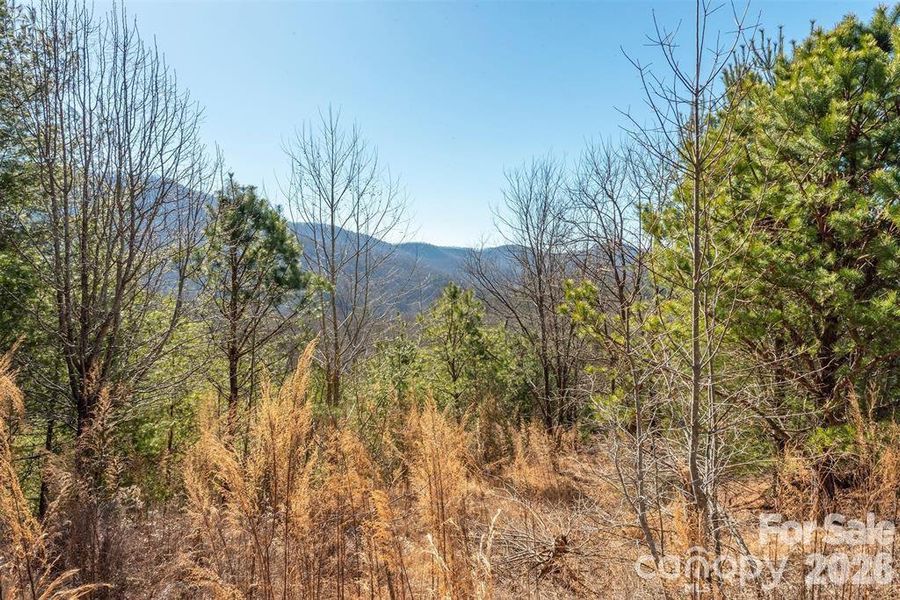 Natural landscape and outdoor views near  in Horse Shoe (Image 3).