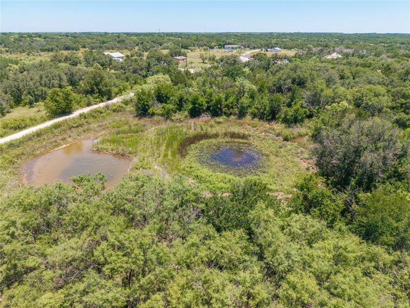 Natural landscape and outdoor views near  in Brownwood (Image 28).
