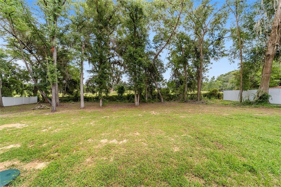 Natural landscape and outdoor views near in Ocala (Image 38). Natural landscape and outdoor views near in Ocala (Image 38).