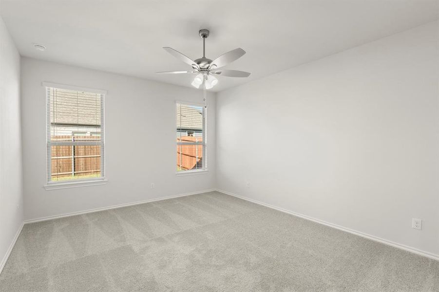 14. 3312 Sedge Grass - Primary