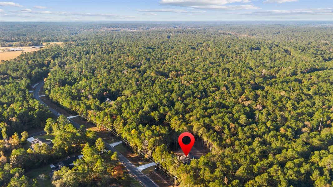 Natural landscape and outdoor views near in Huntsville (Image 45). Natural landscape and outdoor views near in Huntsville (Image 45).