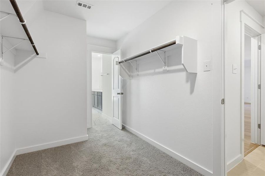 Walk in closet with light carpet