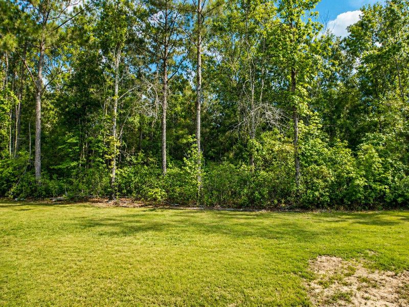 Natural landscape and outdoor views near  in Summerville (Image 26).