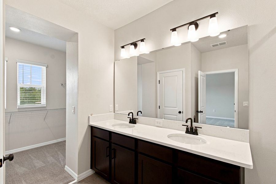 Owner's Bath