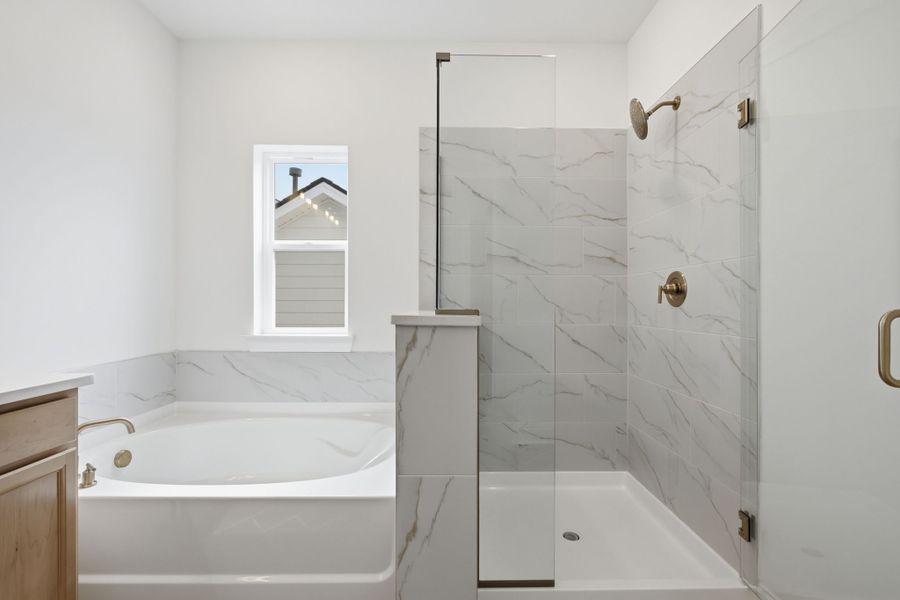 Owner's Bath