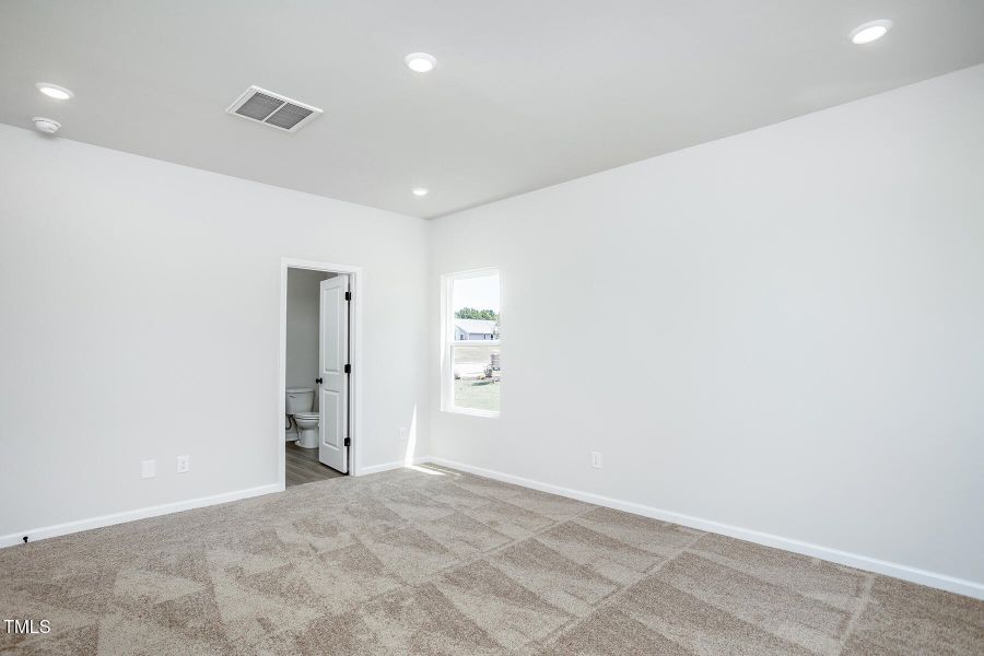 Southeast_Birch_L_015