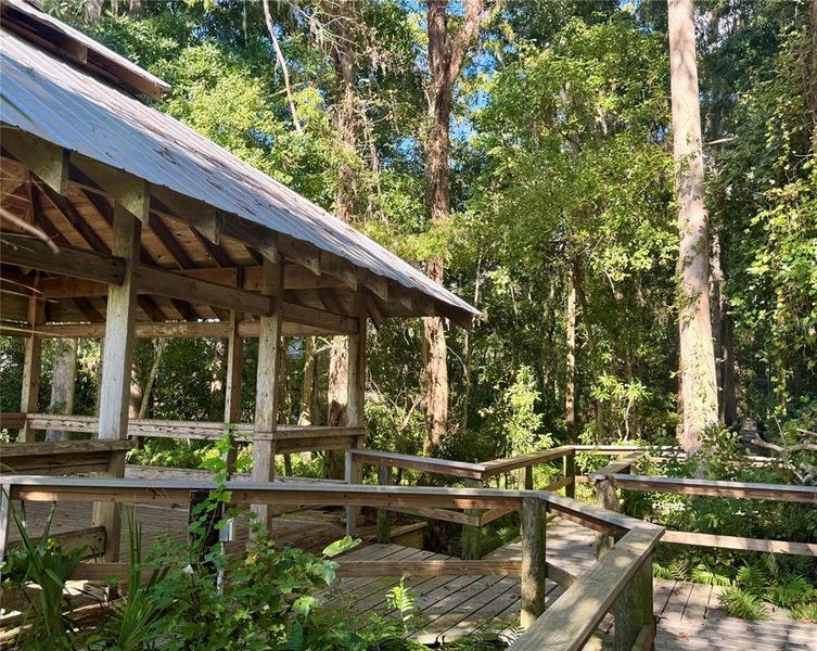 Natural landscape and outdoor views near in Tarpon Springs (Image 8). Natural landscape and outdoor views near in Tarpon Springs (Image 8).