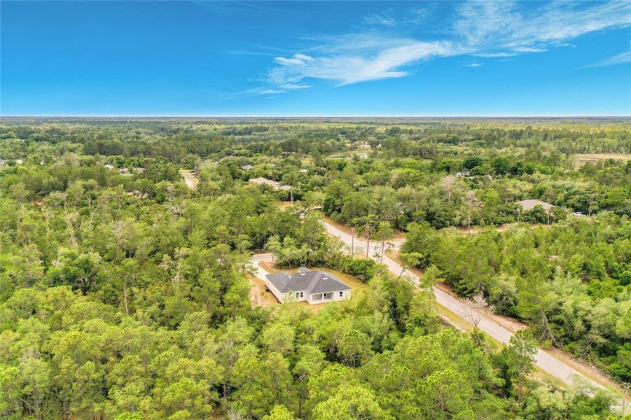 Natural landscape and outdoor views near  in Eustis (Image 51).