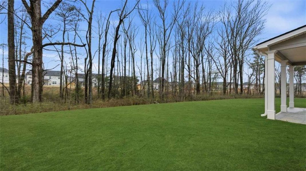 Exterior details and patio area of a home in Independence, Loganville (Image 21). Exterior details and patio area of a home in Independence, Loganville (Image 21).