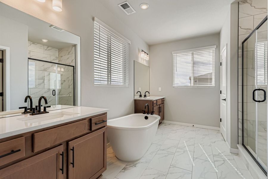 Conifer New Home in Windsor, CO. - Slide 15 Conifer New Home in Windsor, CO. - Slide 15