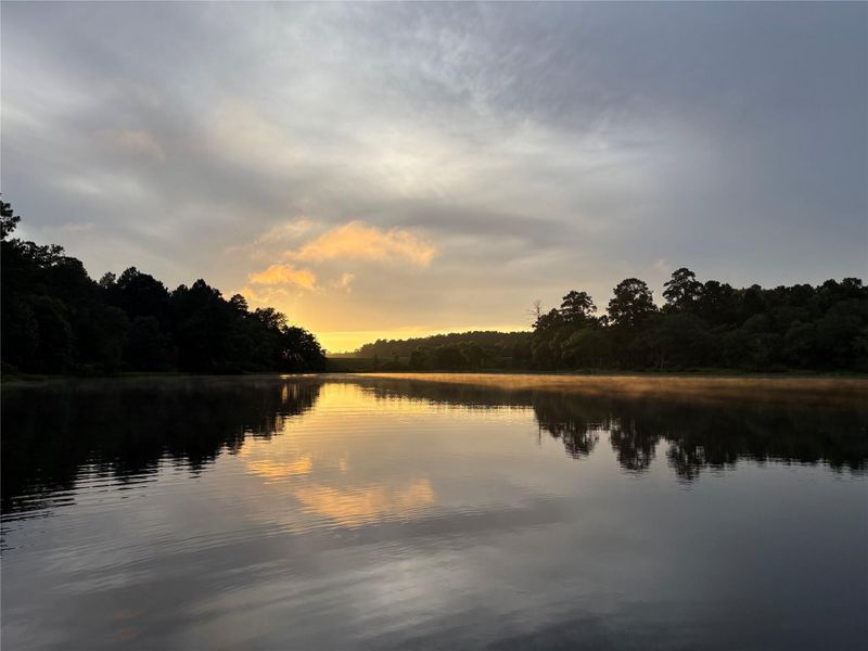 Water view featuring a forest