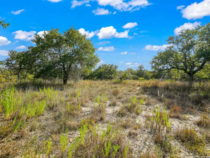 Natural landscape and outdoor views near  in Seguin (Image 28).